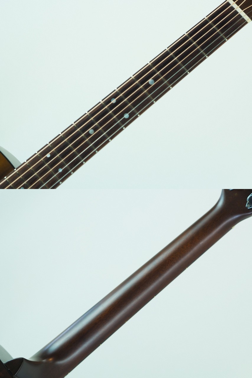 Close-up of dark wood fretboard with light blue dots, followed by polished brown guitar neck on white background.