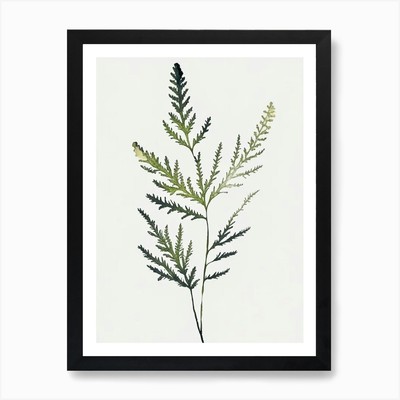 Schafgarbenblatt minimalistisch Aquarell gerahmt Wandbild Poster Leinwanddruck Bild
