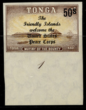 TONGA QEII SG223, 20s on 2s claret & new blue, LH MINT. CONTROL