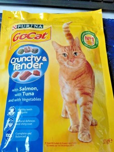 go dry cat food