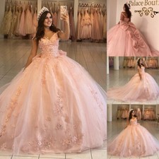 Pink Quinceanera Dresses with Big Bow Beaded Floral Sweet 15 16 Party Ball Gown