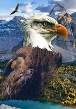 Call of the Wild collection by Hoffman. Digitally Printed Panel, 30 1/2in x 43