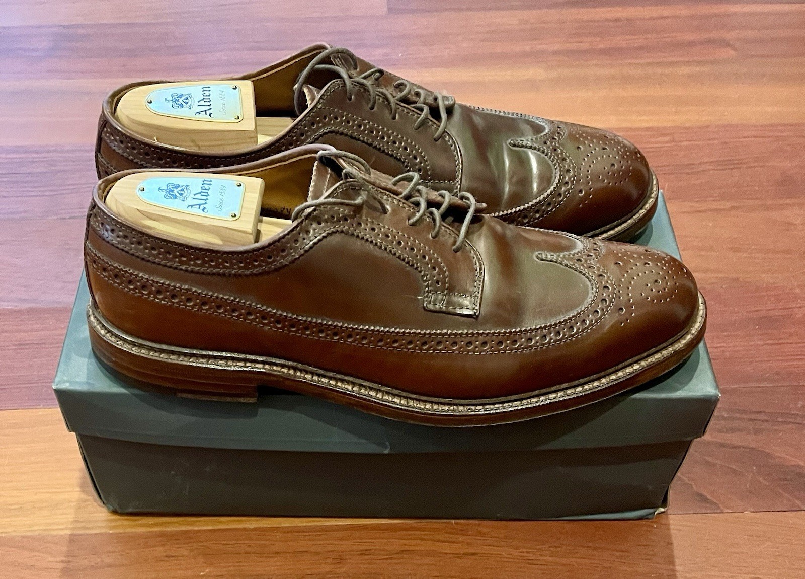 Alden 97504 Ravello Shell Cordovan Long Wing Blucher