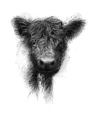 Being With Cows