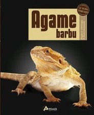 Agame barbu : Pogona vitticeps, P. henrylawsoni  de... | Livre | état acceptable