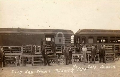 Tillamook OR Oregon 1915 Depot Railroad Station RPPC Photo Postcard COPY