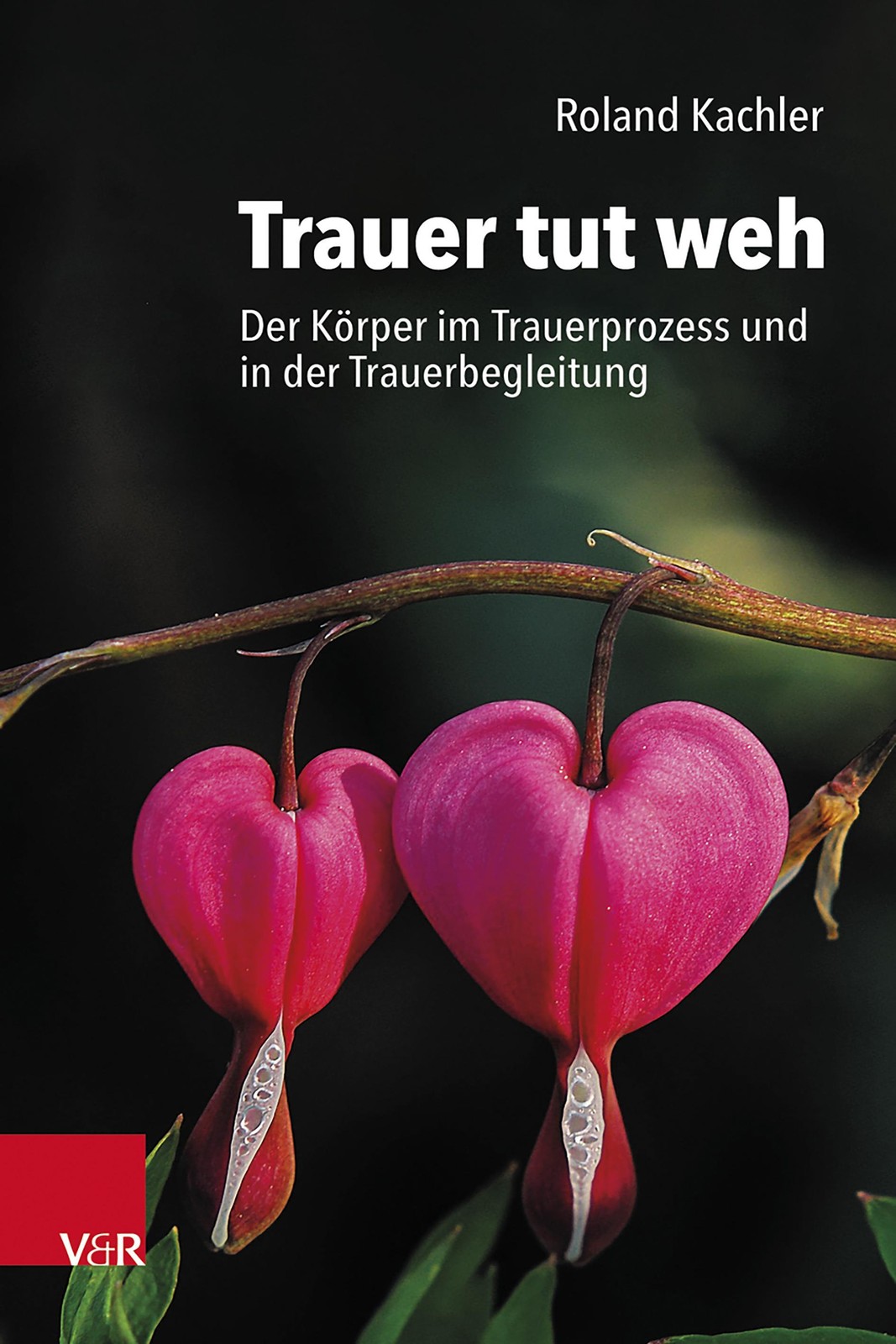 Trauer tut weh Roland Kachler