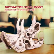 Eco-Friendly Triceratops Skull Model Office Desktop Decorative Craft Resin Dinos