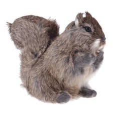 Artificial Animal Feather Squirrel Taxidermy Garden