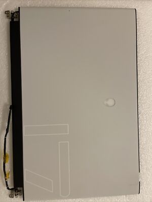 AS IS Cracked DELL ALIENWARE M17 R3 R4 17.3 FULL HD 300HZ LCD 4VP88 5DJM1 H2 S7