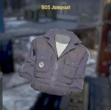 Fallout 76 PS Items! BOS Jumpsuit!