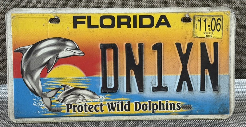 Florida Protect Wild Dolphins License Plate DN1XN