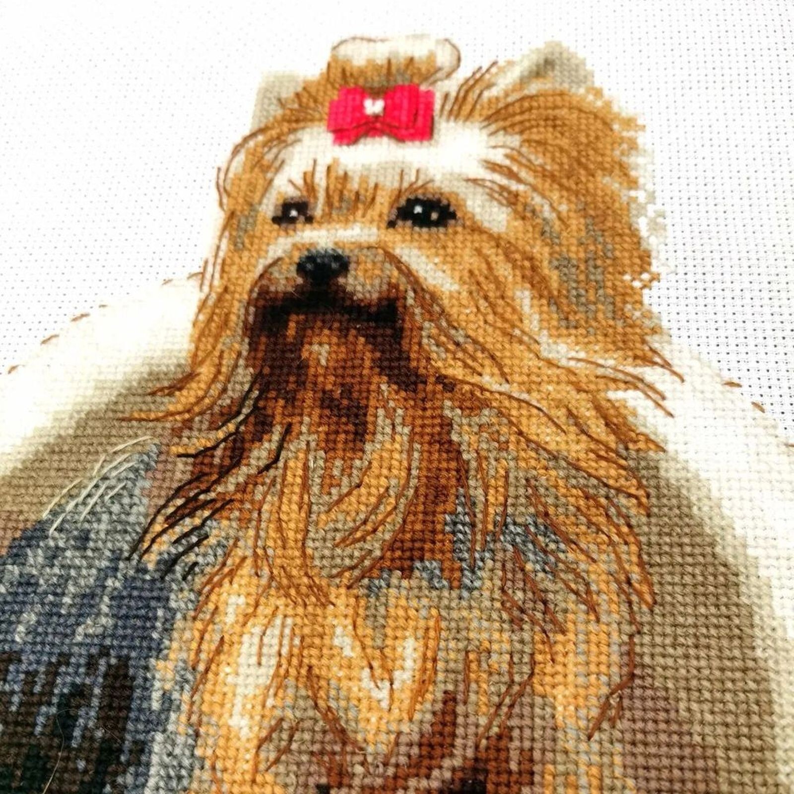 Canevas point compté Yorkshire Terrier pour s'initier aux loisirs créatifs