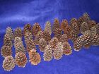 * 40 Natural Pine Cones for Crafts, Wreaths or Fillers