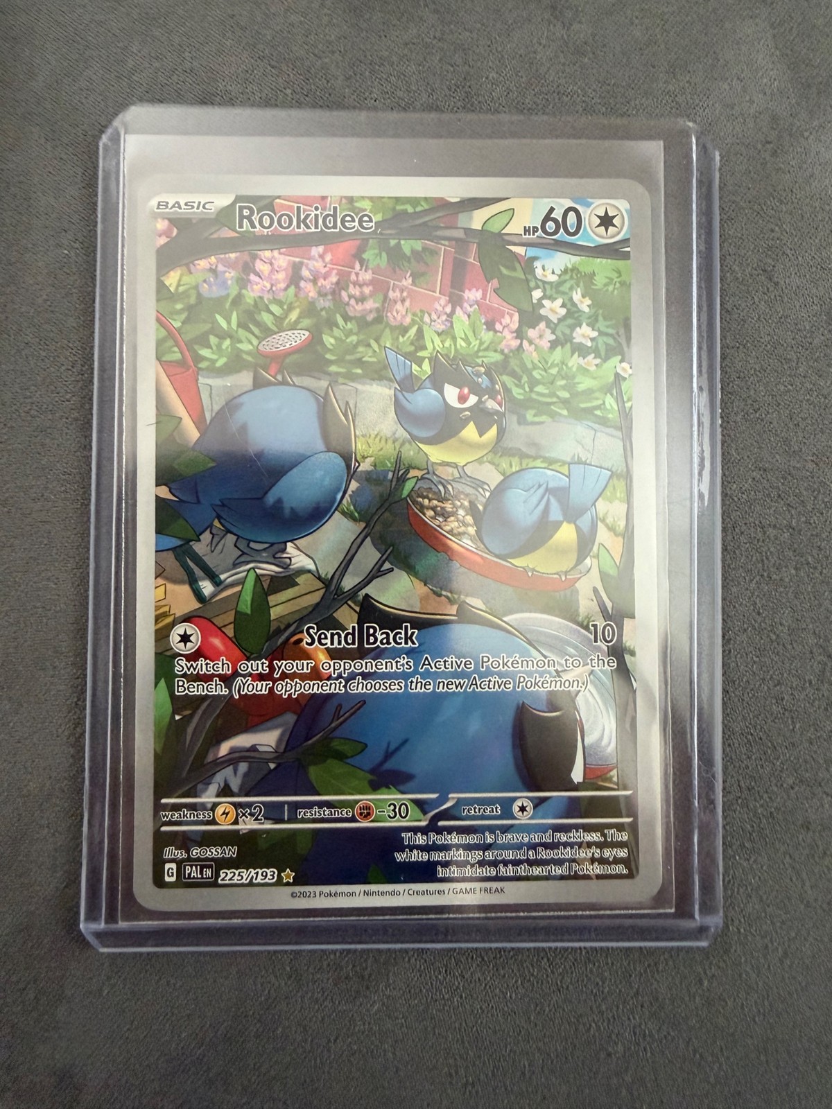 Pokemon TCG Rookidee - 225/193 Holo SV02: Paldea Evolved Illustration Rare