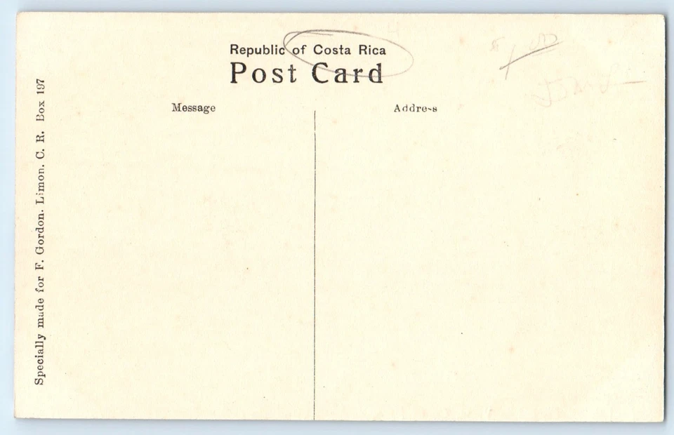 Коста-Рика открытка деревья лимон на парк вид на море c1910 неотправленный антикварный - Изображение 2 из 2