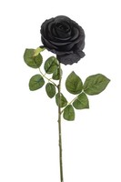 artplants KüNstliche Blume Rose Brunette, Schwarz, 70Cm, Ø11Cm
