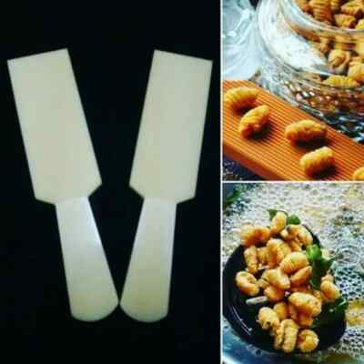 New Ribbed Spiral Seashell Clam Shape Cookie Board (Kuih Siput)