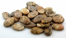 Three 22x14 22mm x 14mm Oval Picture Jasper Flat Cabochon Gem Gemstone PJC8