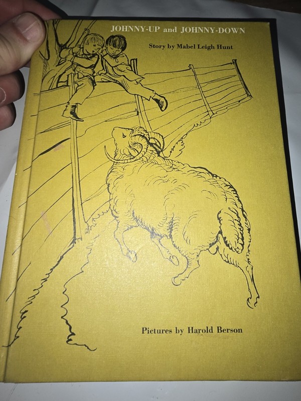 JOHNNY UP JOHNNY DOWN  MABEL L HUNT  1962 FIRST EDITION  BOX401