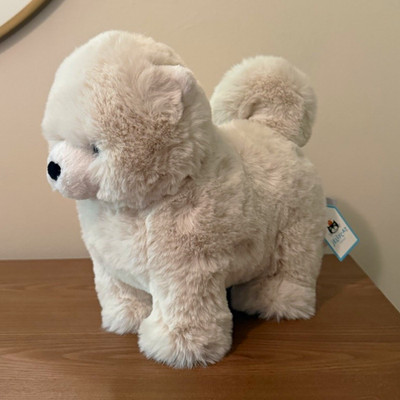 Jellycat Daphne Pomeranian Plush Stuffed NWT