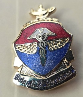 School of Aerospace/Aviation Medicine DI DUI UNIT CREST INSIGNIA PIN