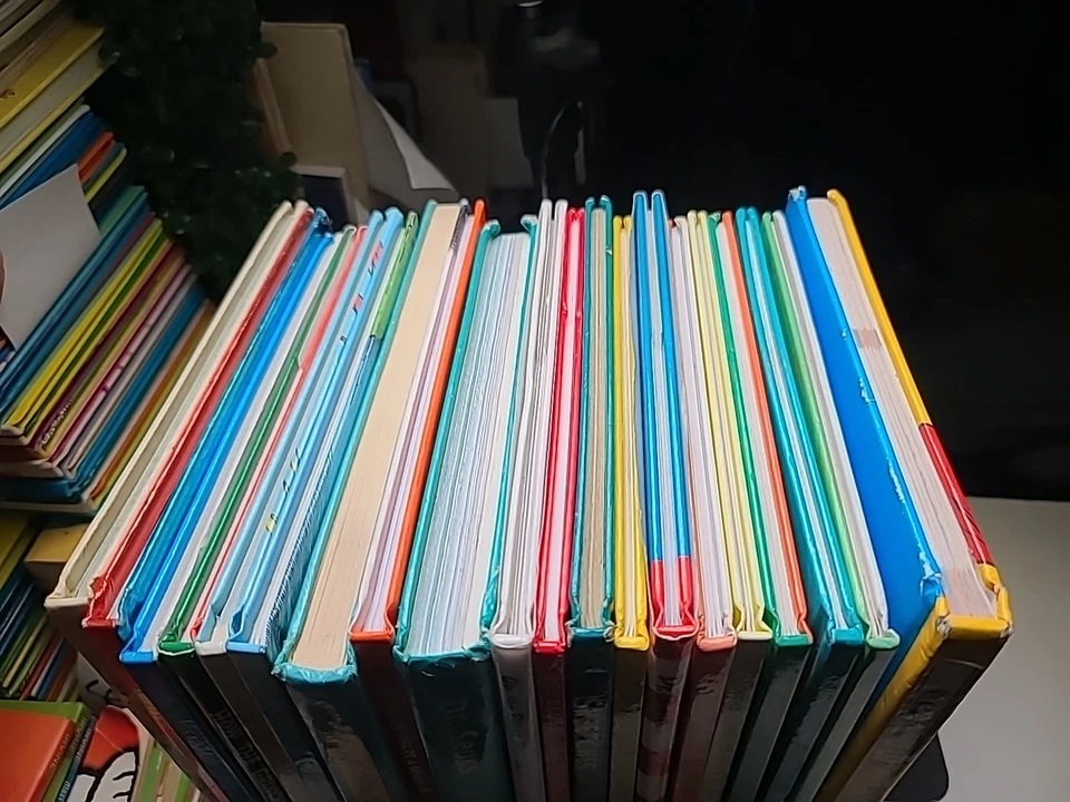 Set of 20 Dr. Seuss Books in English – Illustrated Hardcover, Good Condition Foto 2 de 4