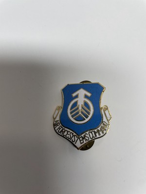 1960s 70s USAF Air Force Systems Command Squadron Pin DI Crest DUI