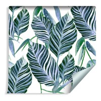 10M Vlies Tapete GrüNe Aquarell Exotische BläTter Natur Xxl 1413