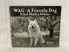HTF 1934 Pre-Primer WAG A Friendly Dog Photographs Ethel Maltby Gehres Book vtg