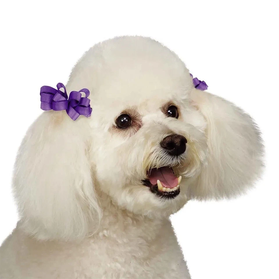 12 GROSGRAIN LOOP CURLED RIBBON HAIR BOW w/ BARRETTE CLIP Dog Grooming Top Knot - Image 2 of 4