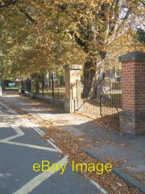 Foto 6x4 Herbst kommt früh vor Fairfield Kleinkind Schule Havant c2008