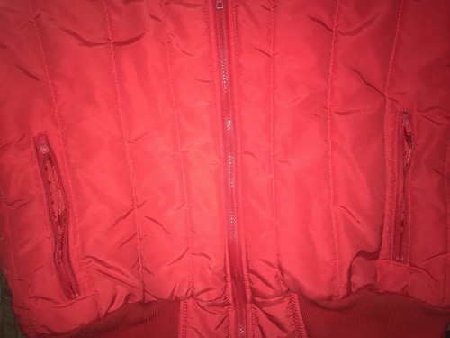 1985 VINTAGE SKI Jacket 100% Robylon Fill Mens Large Ski Lion With Vintage Pins - Picture 3 of 12