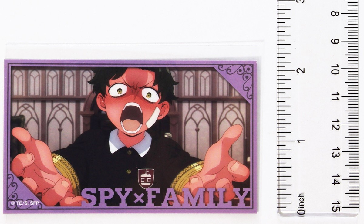 Spy × Family Name Card Damian Desmond Type D Japanese Character | eBay