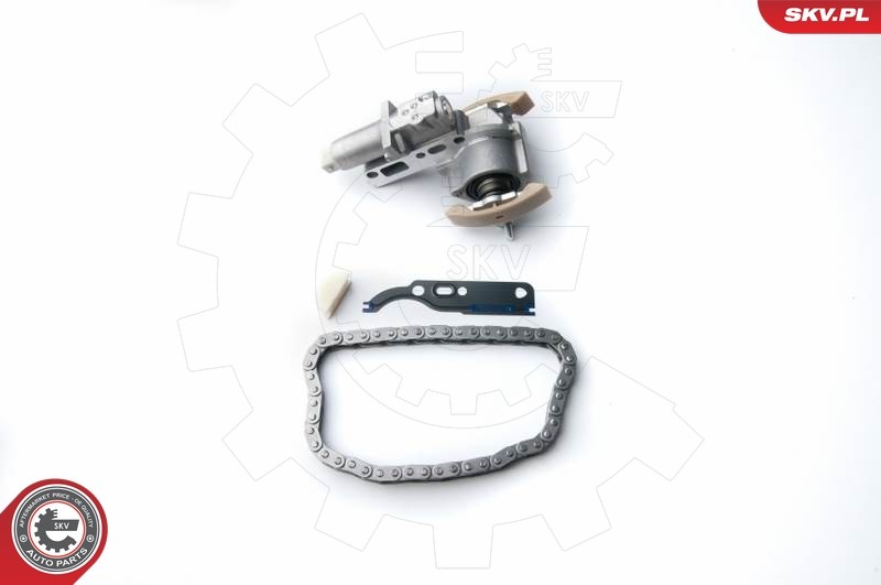 Chaîne de distribution 21SKV030 ESEN SKV de qualité supérieure pour berline VAG