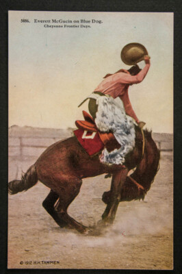 5086   Everett McGucin on Blue Dog, Rodeo printed postcard, WY, Cheyenne, Tammen