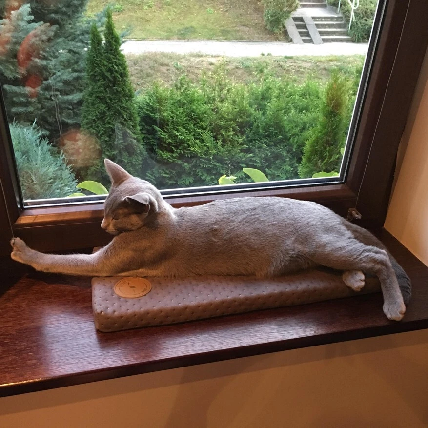 Katzenmatratze für Fensterbank Katzen Fensterbankliege Katzenkissen 50x20 & 100 - Bild 3 von 4