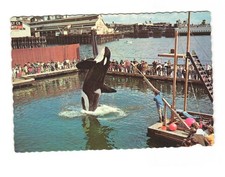 Namu the killer whale Seattle Public Aquarium vintage postcard unposted