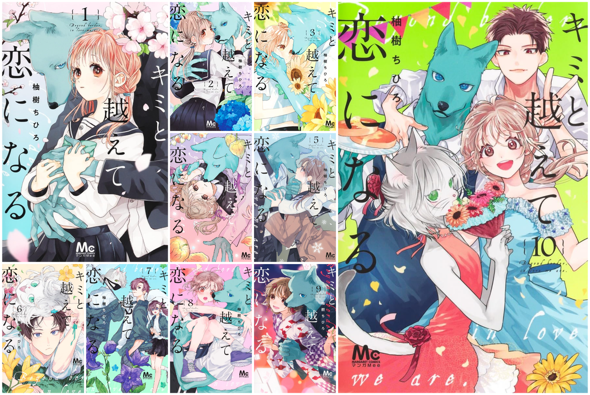 Kimi to Koete Koi ni Naru Vol.1-10 Complete Manga Set Japanese