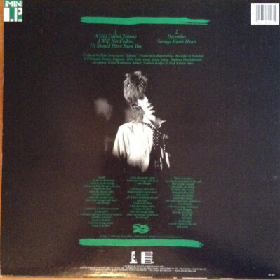 輸入盤アナログ　ウォーターボーイズ　The Waterboys USA盤 61XPVC59TdL._UF1000,1000_QL80_.jpg
