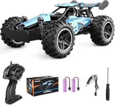 Pmgud Ferngesteuertes Auto, 2,4 GHz 1:18 Proportional 2WD 20+ km/h Hobby Offroad