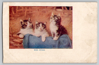 1910s Three 3 Cat Kitten Tabby ''Wide Awake'' in Basket Vintage Antique Postcard