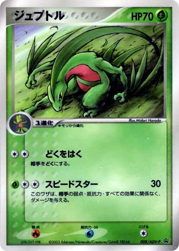 Grovyle 008/ADV-P Adv-P Promotional Cards