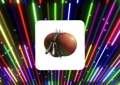 R0BLOX Toy Code - Freaky Fly Face | With Special Effect