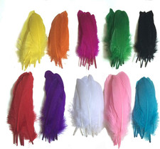 Dxeud Colorful Goose Feathers 100Pcs/Pack/ 10Pcs X10Colors  6-8 Inch 