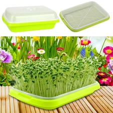 Seed Sprouter Tray with Lid For Seedling Nursery Planting Germination