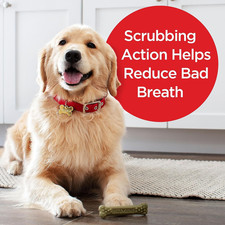 Fresh Breath Brushing Chews, 18 Large Daily Dental Dog Treats Scrubbing Action H