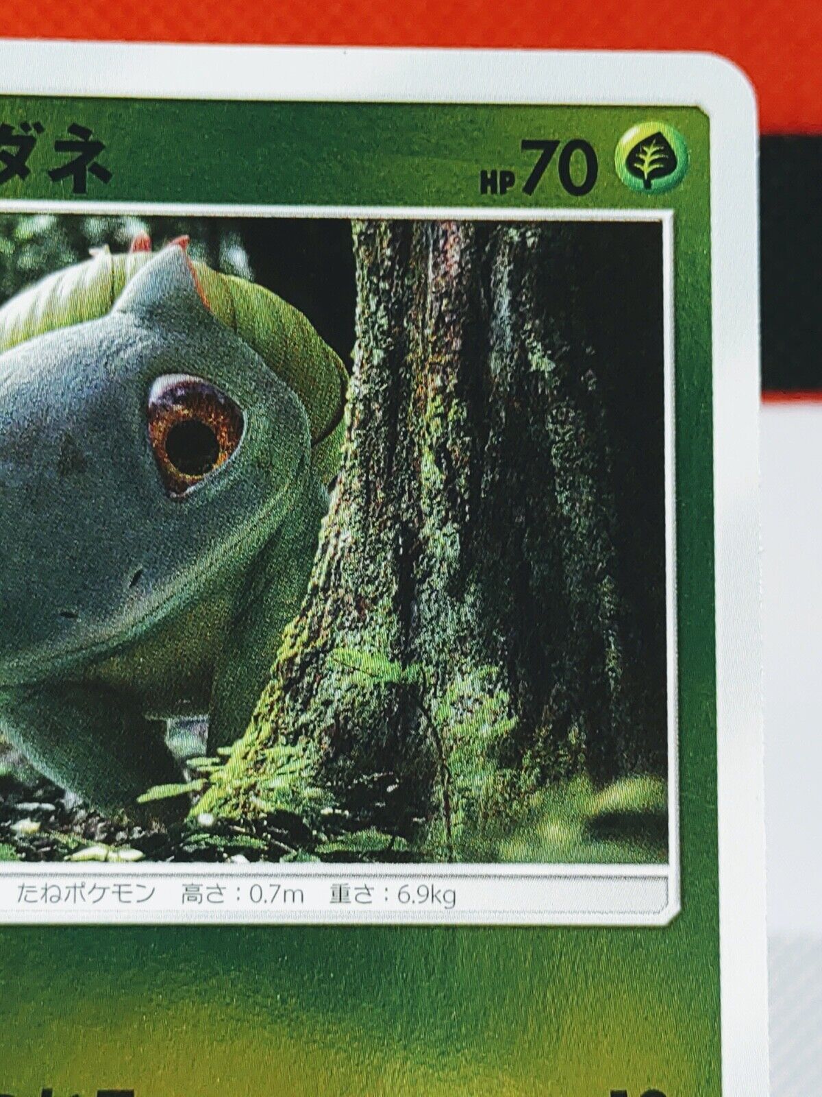 Bulbasaur Pokemon Card Japanese 002/024 Detective Pikac