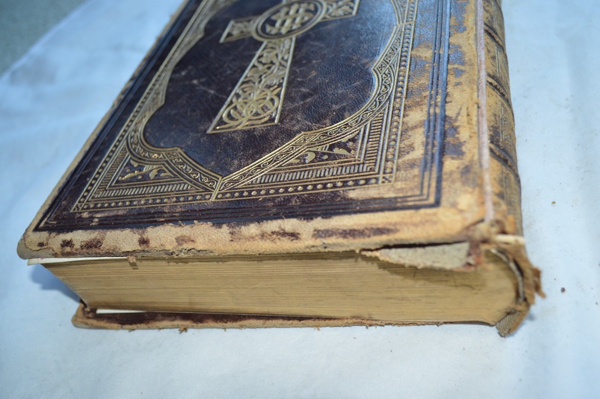 HOLY BIBLE PUBLISHED BY D. & J. SADLIER & CO. NEW YORK 1860