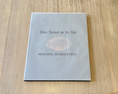 Eden Turned on Its Side by Meridel Rubenstein 2018 HC / DJ / Arif Khan Foreword